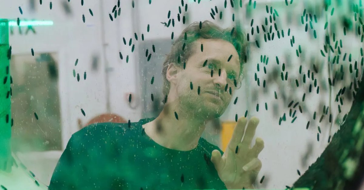 𝗣𝗿𝗼𝘁𝗶𝘅